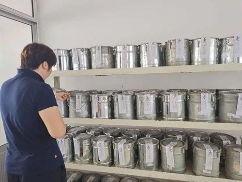 區(qū)建設(shè)局 控源頭 夯基礎(chǔ) 全力確保房屋建筑工程質(zhì)量