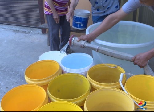 持續(xù)晴熱高溫 重慶豐都 銅梁等地保障群眾生產(chǎn)生活用水鳳凰網(wǎng)重慶